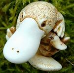 Platypus